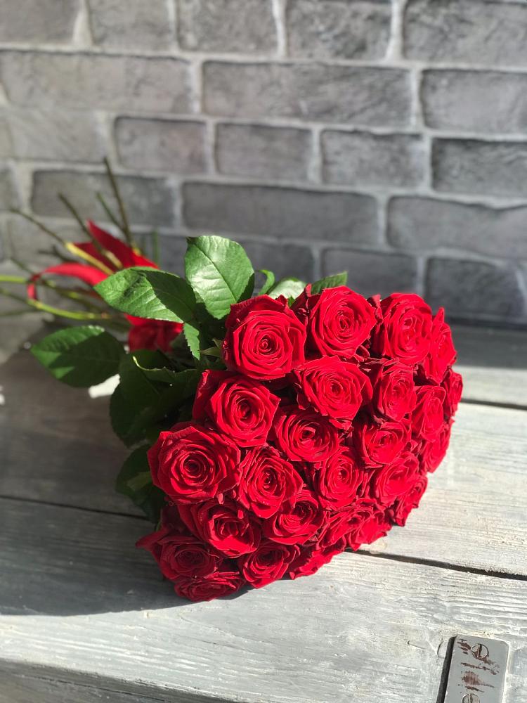 Букет Красные розы Фридом в Нововоронеже