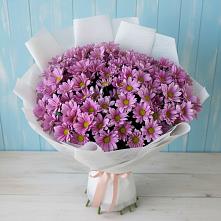 Букет цветов из:  Хризантемы в Нововоронеже