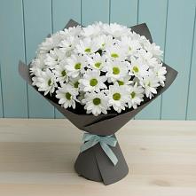 Букет цветов из:  Хризантемы в Нововоронеже
