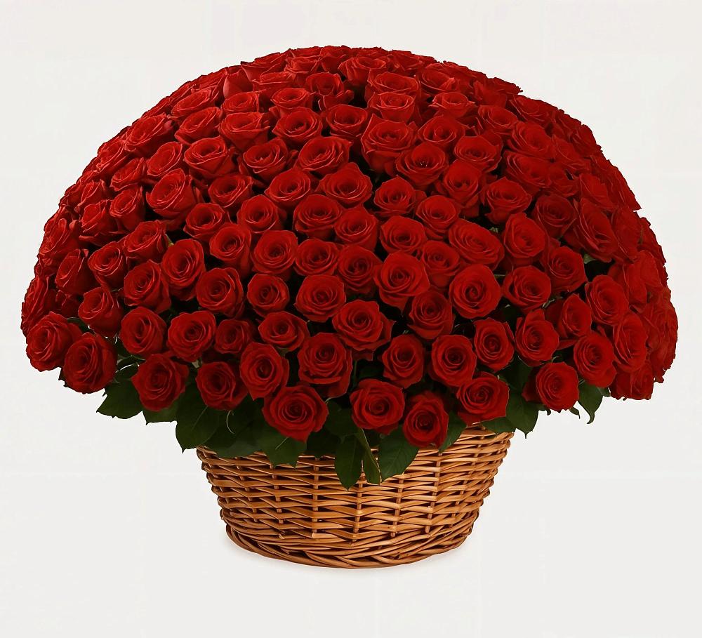 Премиум букет из: Розы в Нововоронеже